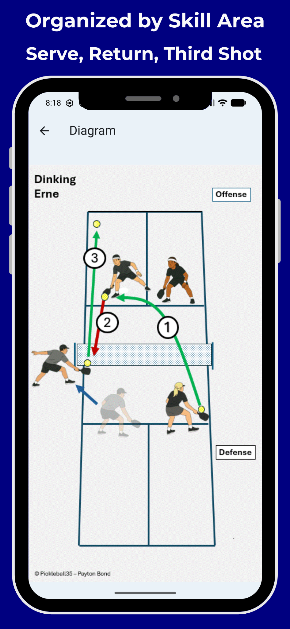 Pickleball strategy organized by serve, return, third shot, dinking, and other skill areas