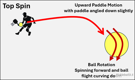 image showing topsin in pickleball