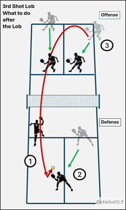 Pickleball Court illustration showing what to do after a good lob