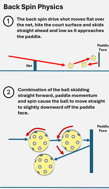 illustration of pickleball with back spin.