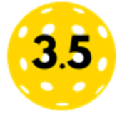 Pickleball 3.5 Blog Site Icon