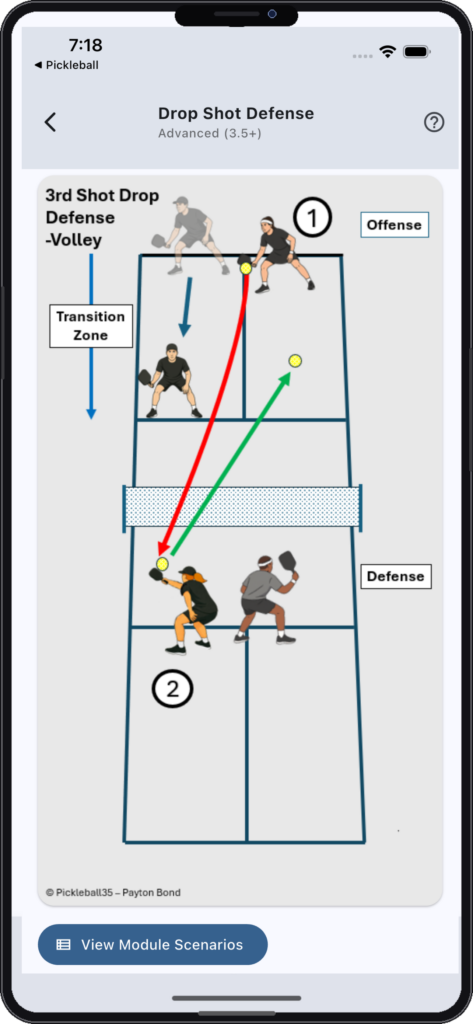 Pickleball Strategy App Scenario Screen
